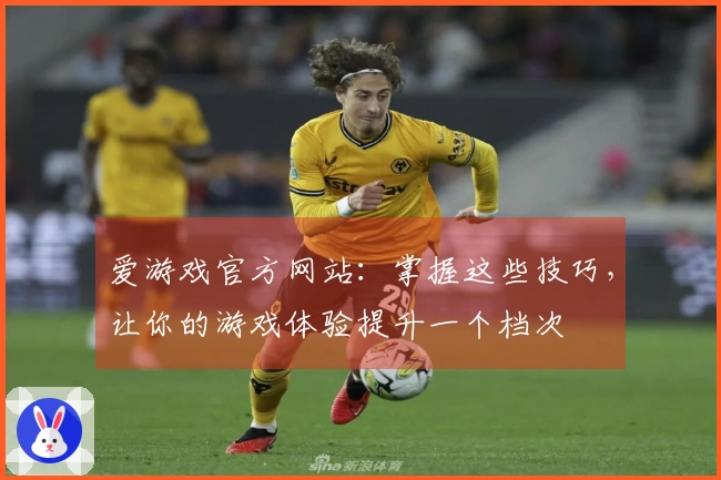 爱游戏官方网站：掌握这些技巧，让你的游戏体验提升一个档次